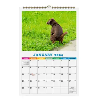 Suns Pooping Kalendāra 2024. Gadam Funny Suns Pooping Ikmēneša Sienas Kalendārs Unikālu Kalendāru Dāvana Draugiem Jauno Gadu Hangable Kalendārs